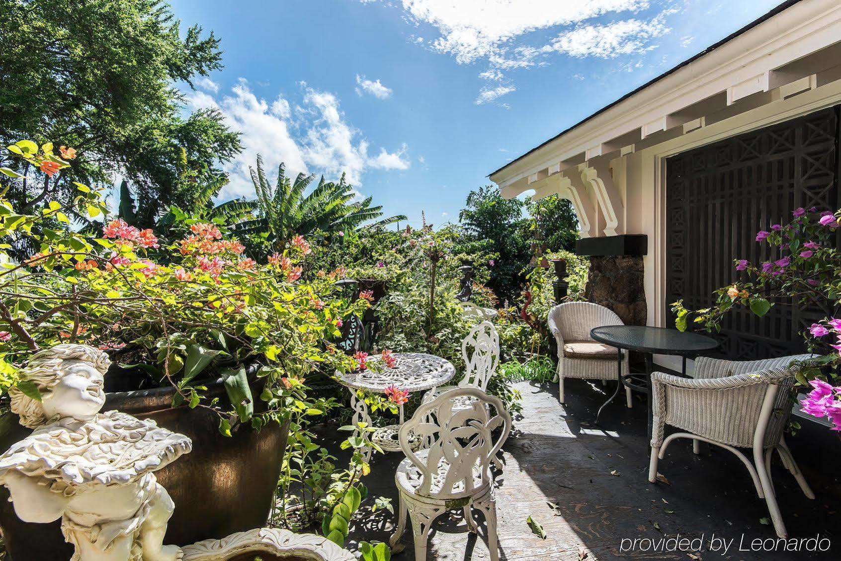 Manoa Valley Inn Honolulu Luaran gambar